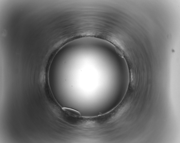 X0000089410348200706221139