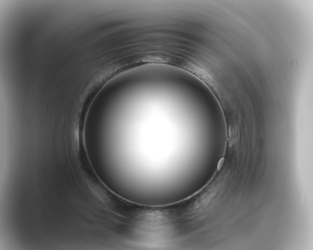 X0000089410349200706221139