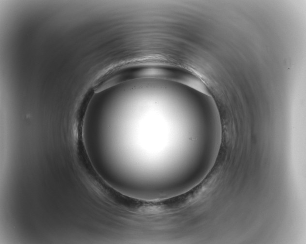 X0000089410350200706221139