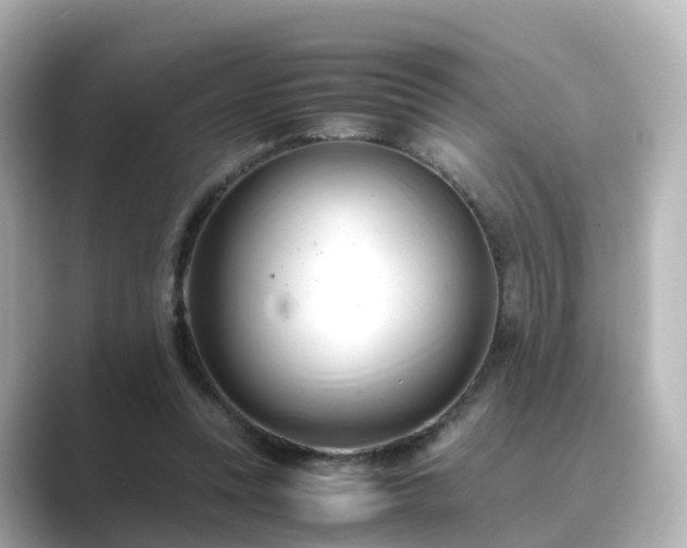 X0000089410351200706221139