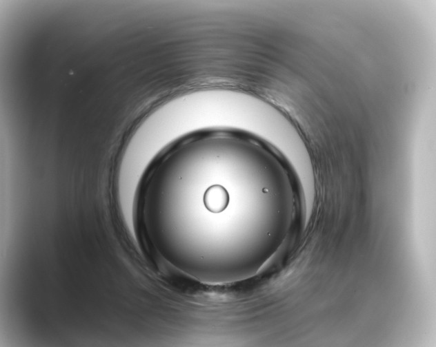 X0000089410352200706221139