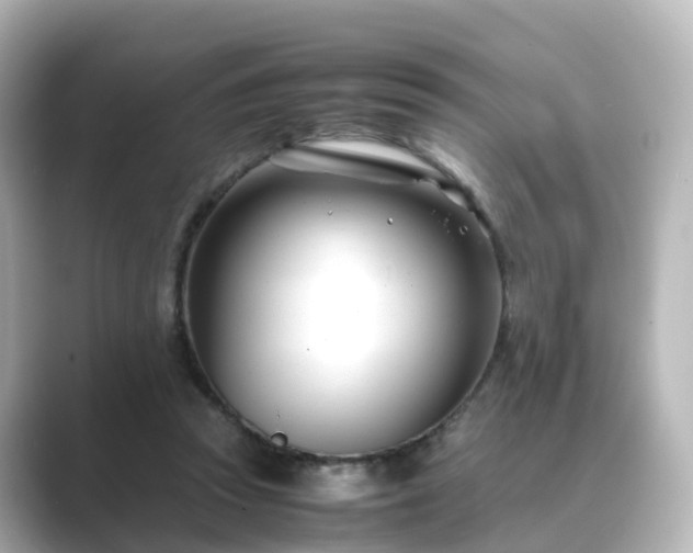 X0000089410353200706221139