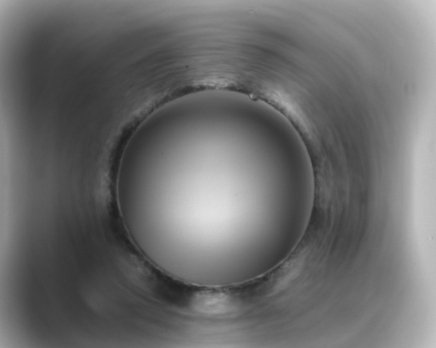 X0000089410354200706221139
