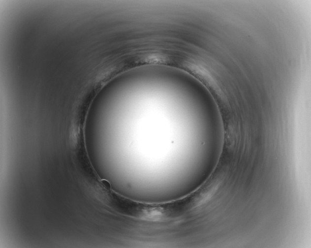 X0000089410355200706221139