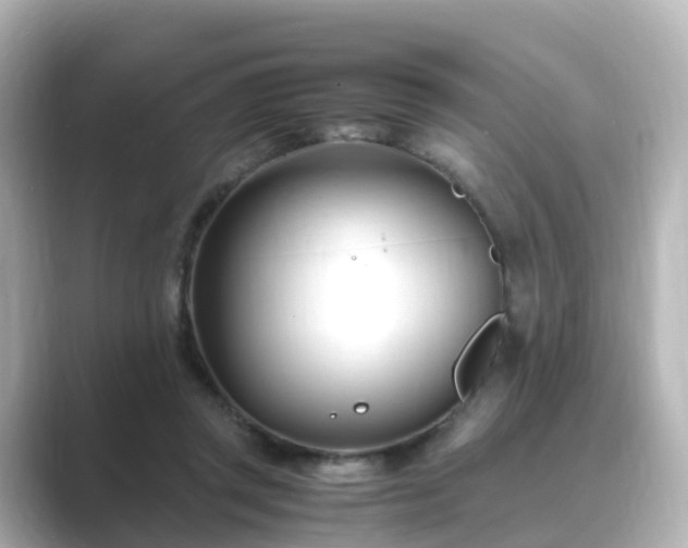 X0000089410357200706221139