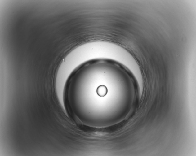 X0000089410360200706221139