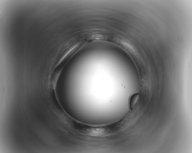 X0000089410361200706221139