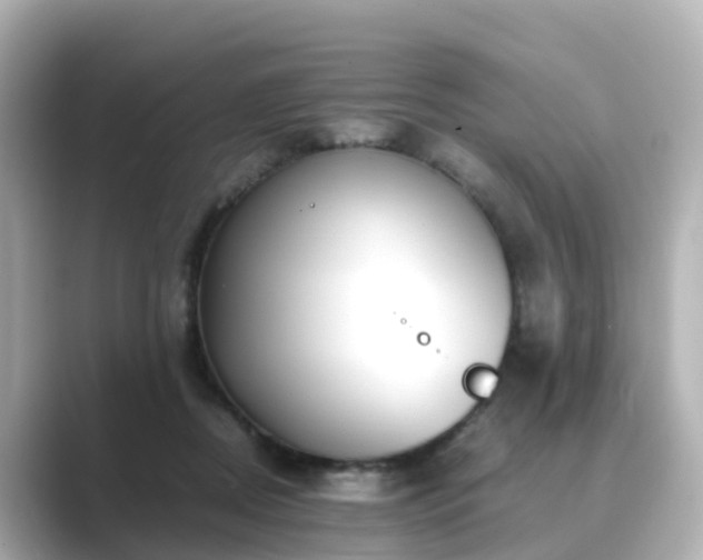 X0000089410362200706221139