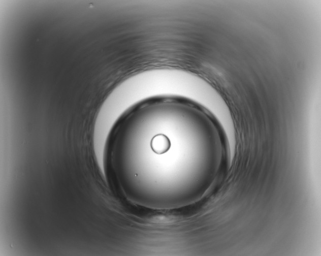 X0000089410364200706221139