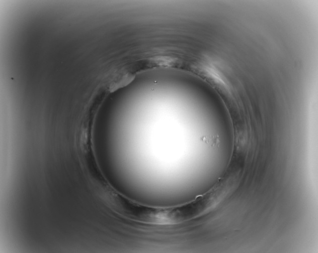 X0000089410365200706221139