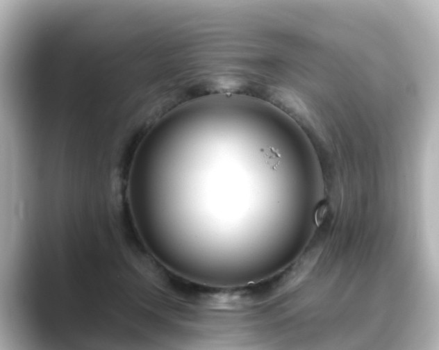 X0000089410366200706221139