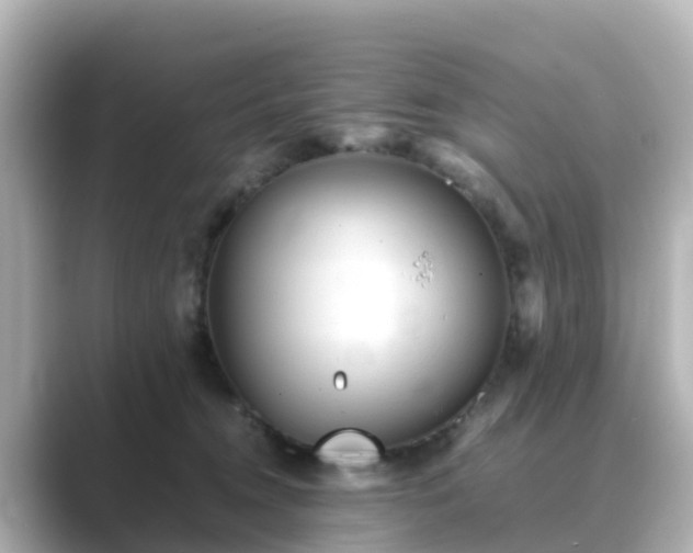 X0000089410372200706221139