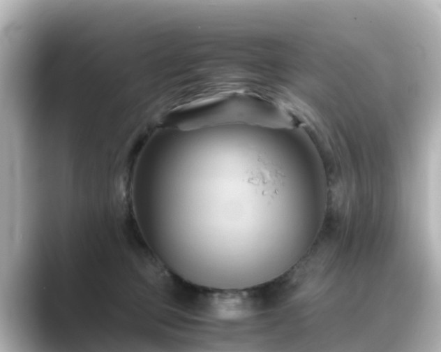 X0000089410373200706221139
