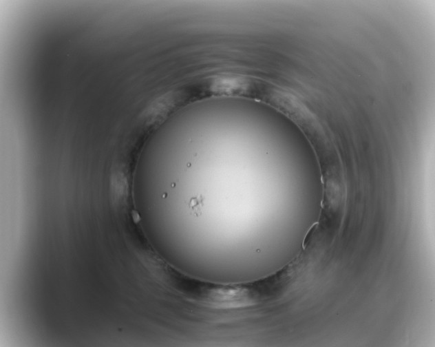 X0000089410375200706221139