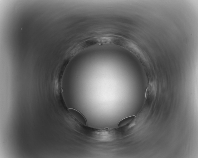 X0000089410381200706221140