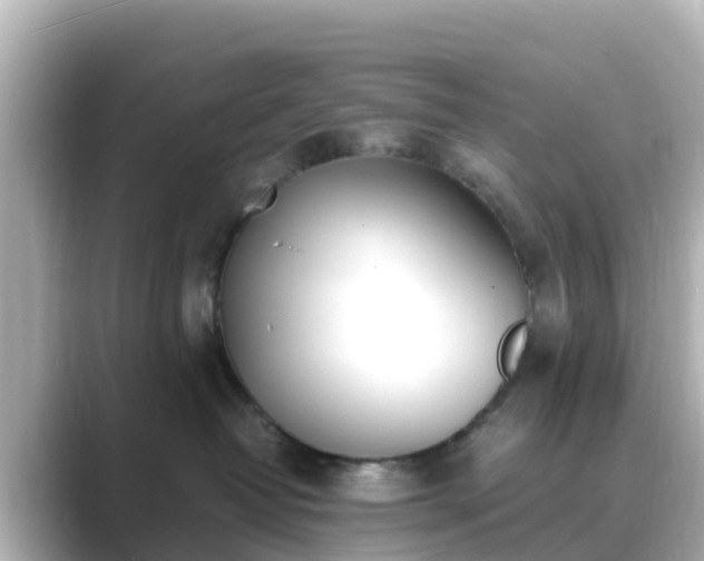X0000089410382200706221140