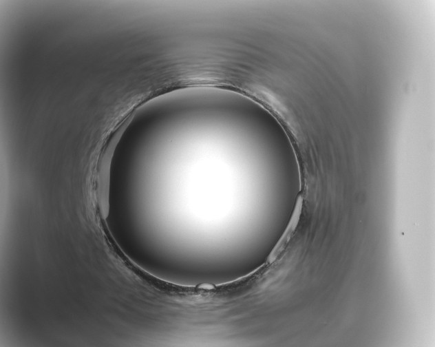 X0000089410385200706221139