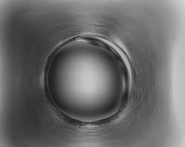 X0000089410387200706221139
