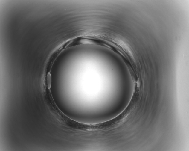 X0000089410388200706221139