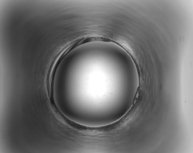 X0000089410389200706221139