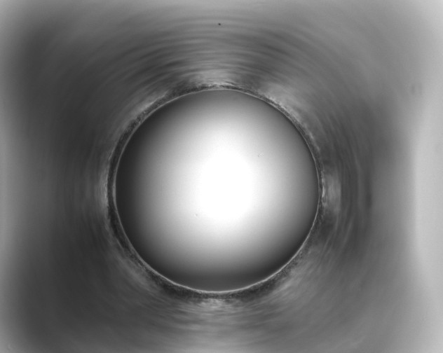 X0000089410390200706221139