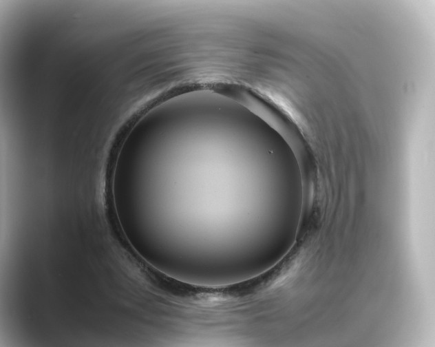 X0000089410391200706221139