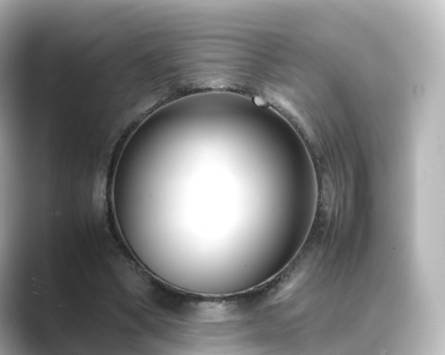 X0000089410394200706221139
