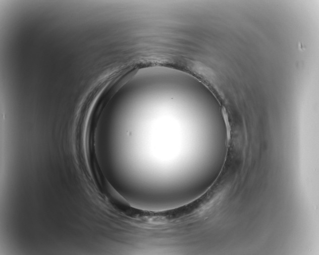 X0000089410395200706221139