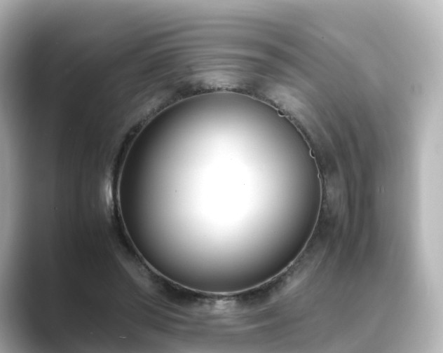 X0000089410398200706221139