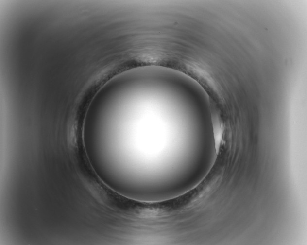 X0000089410400200706221139
