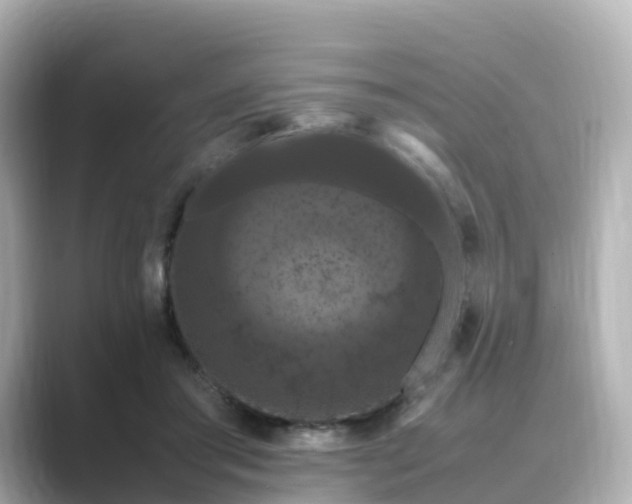 X0000089410405200706221139