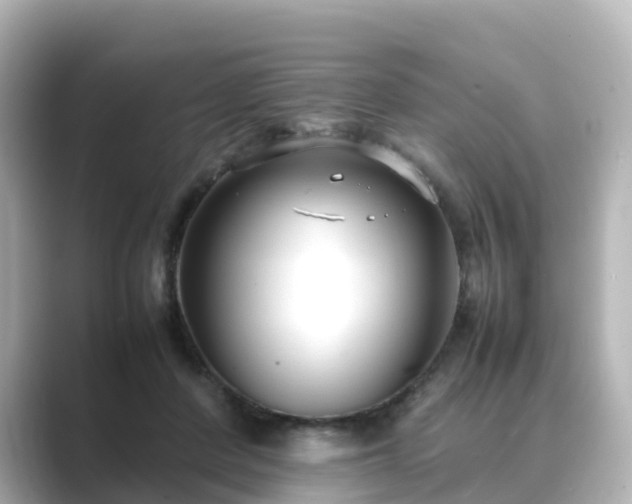 X0000089410408200706221139