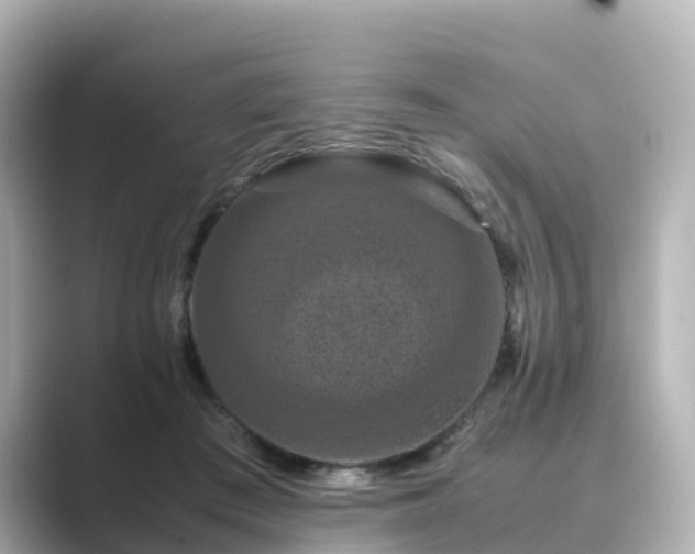 X0000089410409200706221139