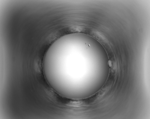 X0000089410414200706221139