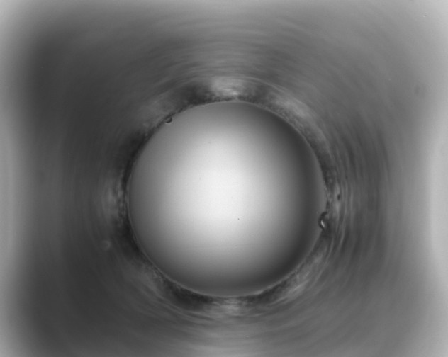 X0000089410418200706221139