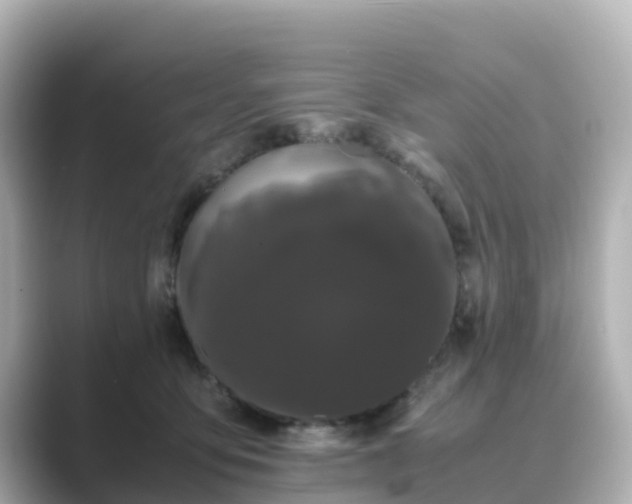 X0000089410419200706221139