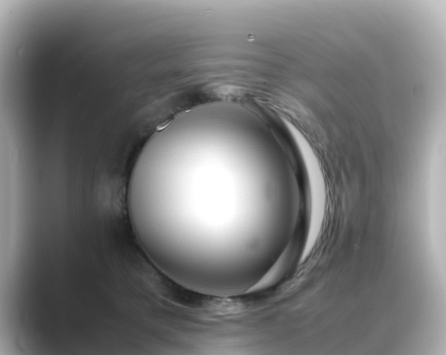 X0000089410421200706221139
