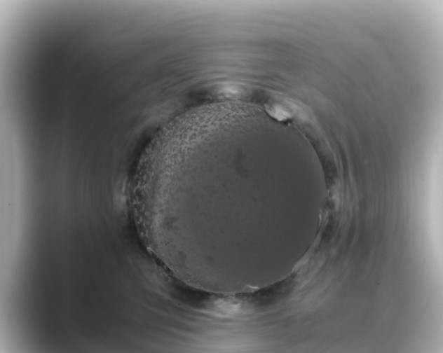 X0000089410423200706221139