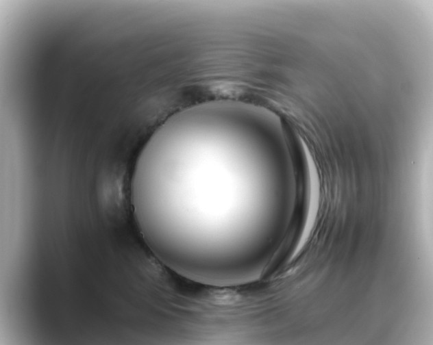 X0000089410424200706221139