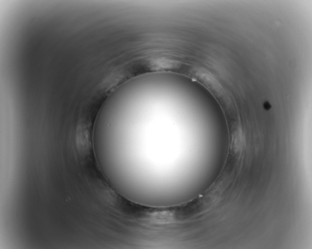 X0000089410426200706221139