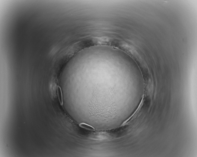 X0000089410427200706221139