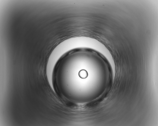 X0000089410428200706221139