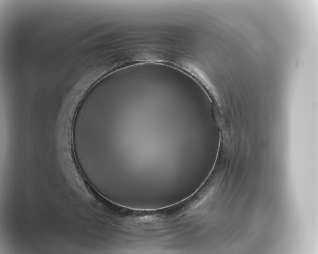 X0000089410433200706221138
