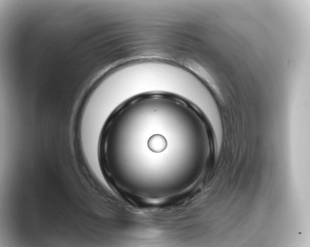 X0000089410436200706221138