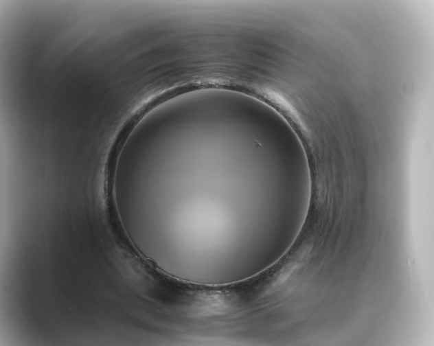 X0000089410439200706221138