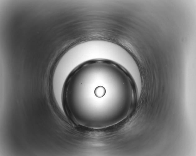 X0000089410444200706221138