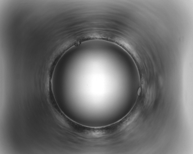 X0000089410445200706221138
