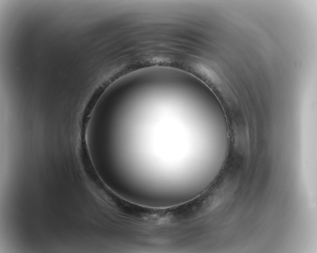 X0000089410447200706221138
