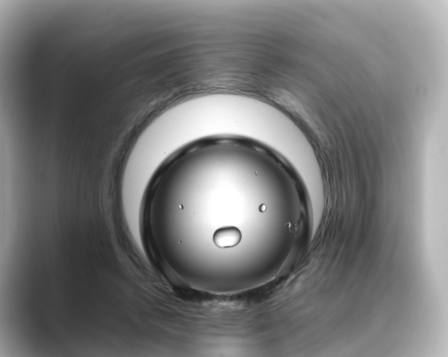 X0000089410448200706221138