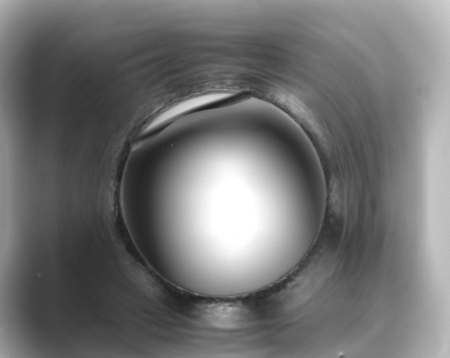 X0000089410449200706221138